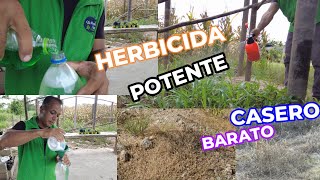 HERBICIDA CASERO usando TRES ingredientes POTENTE fácil casero y sin gastar mucho dinero