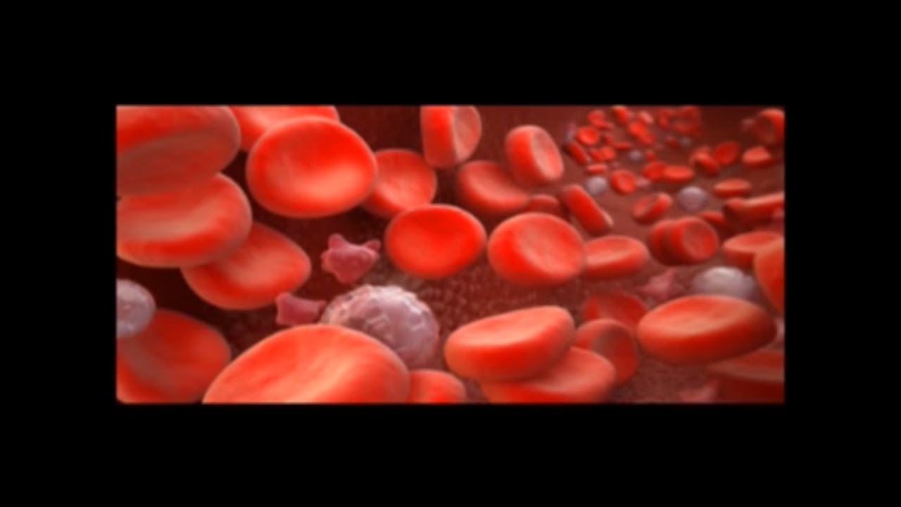 How To Increase Hemoglobin After Surgery