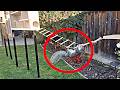Squirrel Maze Engineering Challenge
