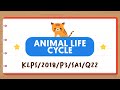 Animal Life Cycles and Characteristics