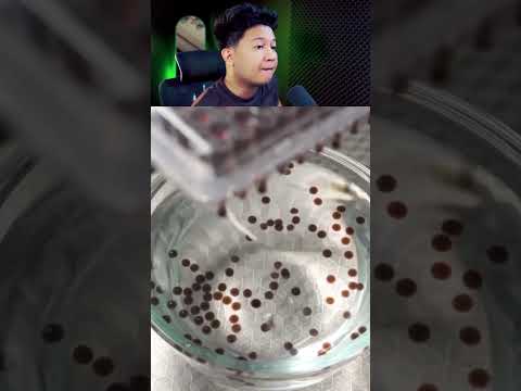 Masakan yg detail dan sulit di buat‼️ #shorts #short #shortvideo