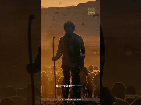 ഉമ്മാ...❤ പെരിയോനെ റഹ്മാനേ | Aadujeevitham #thegoatlife