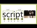 Exploring Three Letter Blends and Closed Syllables