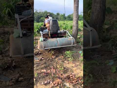 Gambiarra pra bater veneno no mato