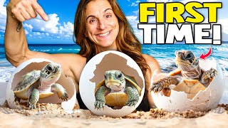 First Time Hatching Baby Turtles at Our Reptile Zoo!! (so cute)