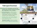 Exploring the Nitrogen Cycle in AP Environmental Science