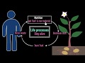 Understanding Life Processes