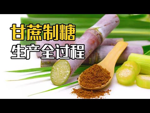 糖是怎麼来的？甘蔗製糖，甜菜製糖加工全過程 - YouTube(3:38)