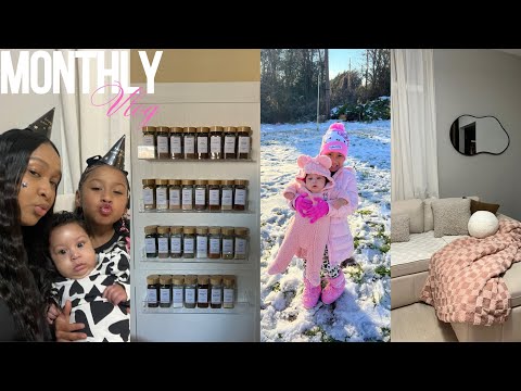 MONTHLY VLOG | New Years Reset + Spice Organization + Snow Days + New Camera + Days In My Life