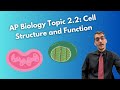 Cell Organelles and Their Functions