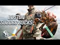 Whitetail Hunting in New England