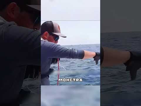 Приманка для водного монстра