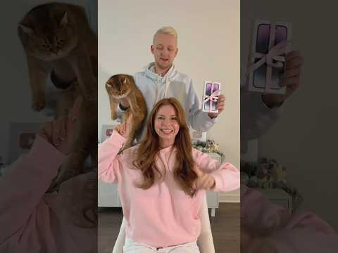 Cat or iPhone? 😢🤩😱