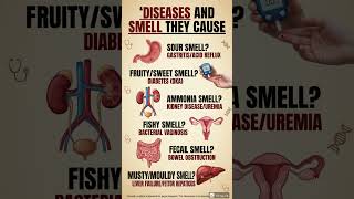 DISEASES AND SMELL 6 Warning Signs You CAN'T Ignore! #bodyodor  #healthtips #shorts
