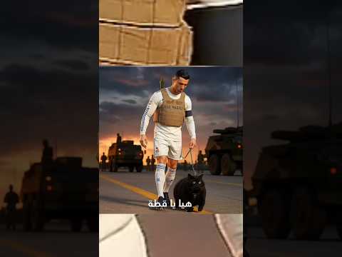 قصة البطل الصغير: القطة التي أنقذت الجنود#قصة_مؤثرة #قطة_بطل #الحرب_والحب #وفاء_القطط#shorta