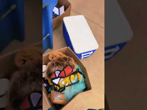 Dumpster Diving | OMG…I Didn’t Think I’d Find This Much Stuff!!! 😱JACKPOT!!