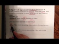 Indefinite Pronouns and Their Usage