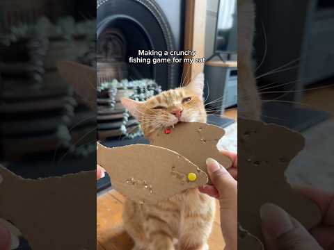 Bro’s a fishing legend 🎣 What shall we make next with the BeaverBot?! 📦🔥