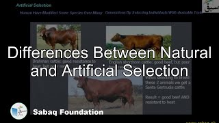 Differences Between Natural and Artificial Selection