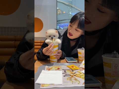 🥰🐶 मिलो बेहद सुंदर और बहुत ही क्यूट पप्पी से #shortvideo #trendingpuppy #cutepuppy