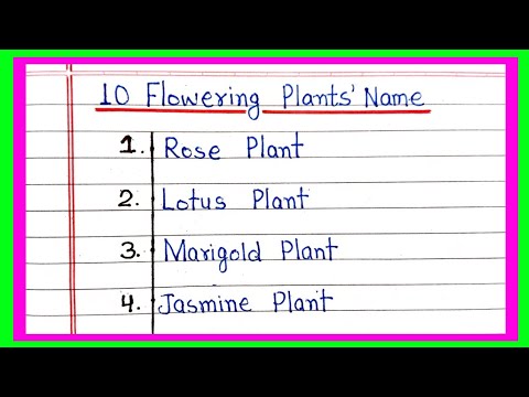 10 Flowering plants Name in English | Top 10 flowering plants | Name of flowering plants in English