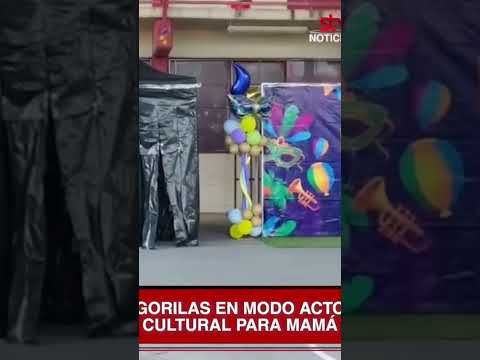 originalidad