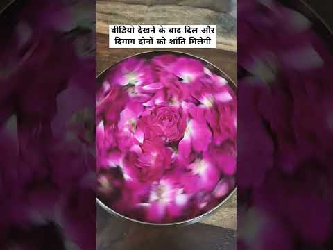 वीडियो देखने के बाद दिल और दिमाग को शांति मिलेगी