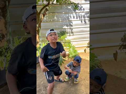 Gulung senar layangan biar ga kusut #viralvideo #comedy #lucu #shorts