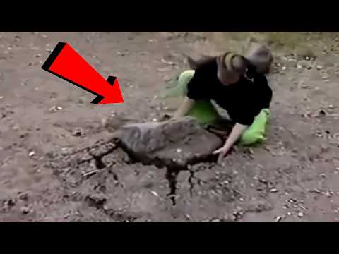 People Caught Doing The Strangest Things On Camera!