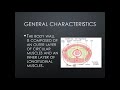 Annelid Biology Concepts
