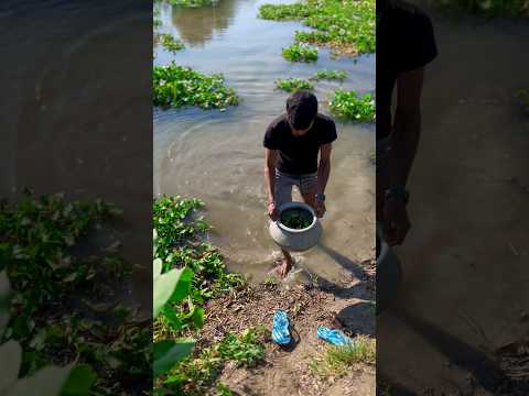 বিলে থেকে আজ আমি কতগুলো মাছ ধরলাম🐟😲(801) bangla village fishing video #villagefishing