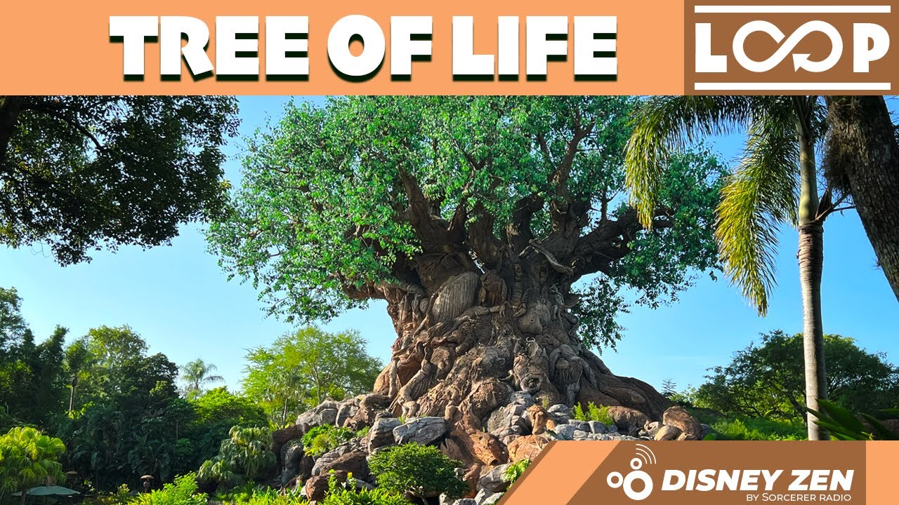 Live webcam of Tree of Life Loop