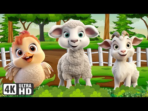 Farm Animal Sounds: Hen, Chicken, Sheep, Goat, Donkey - Animal Sounds