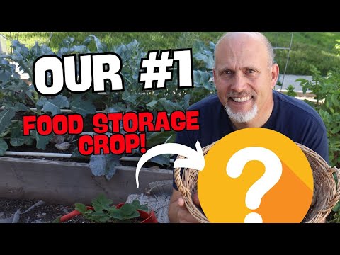 Why Potatoes are the Best Food Storage Crop to Grow