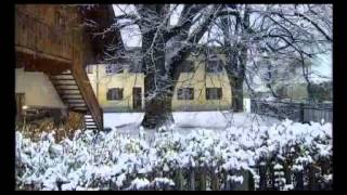 Sturm der Liebe, Folge 804 2