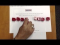 Understanding Fractions with Snickers Bars