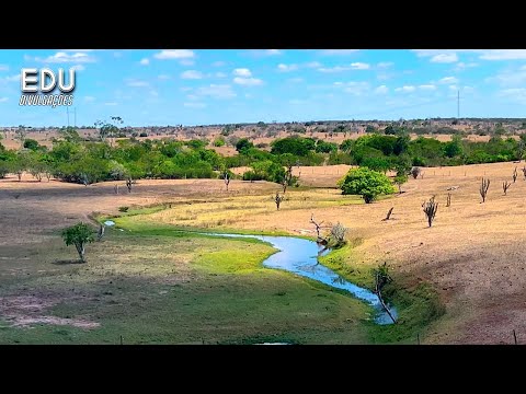 CENÁRIO SECO - A BELEZA E A RESISTÊNCIA DA CAATINGA ANTES DO INÍCIO DAS TÃO ESPERADAS TROVOADAS