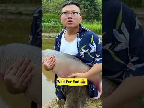 A funny story of husband wife | fish catching #shorts #funny #viral #funnyvideo