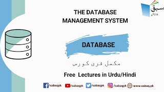 The Database Management System