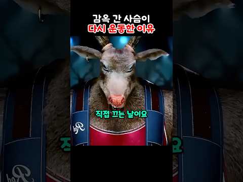 감옥 간 사슴이 다시 운동한 이유