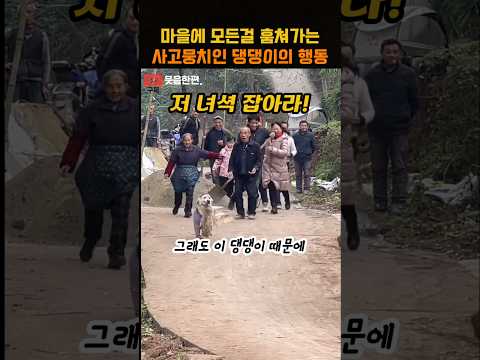 마을에 모든 걸 훔쳐가는 사고뭉치인 댕댕이의 행동