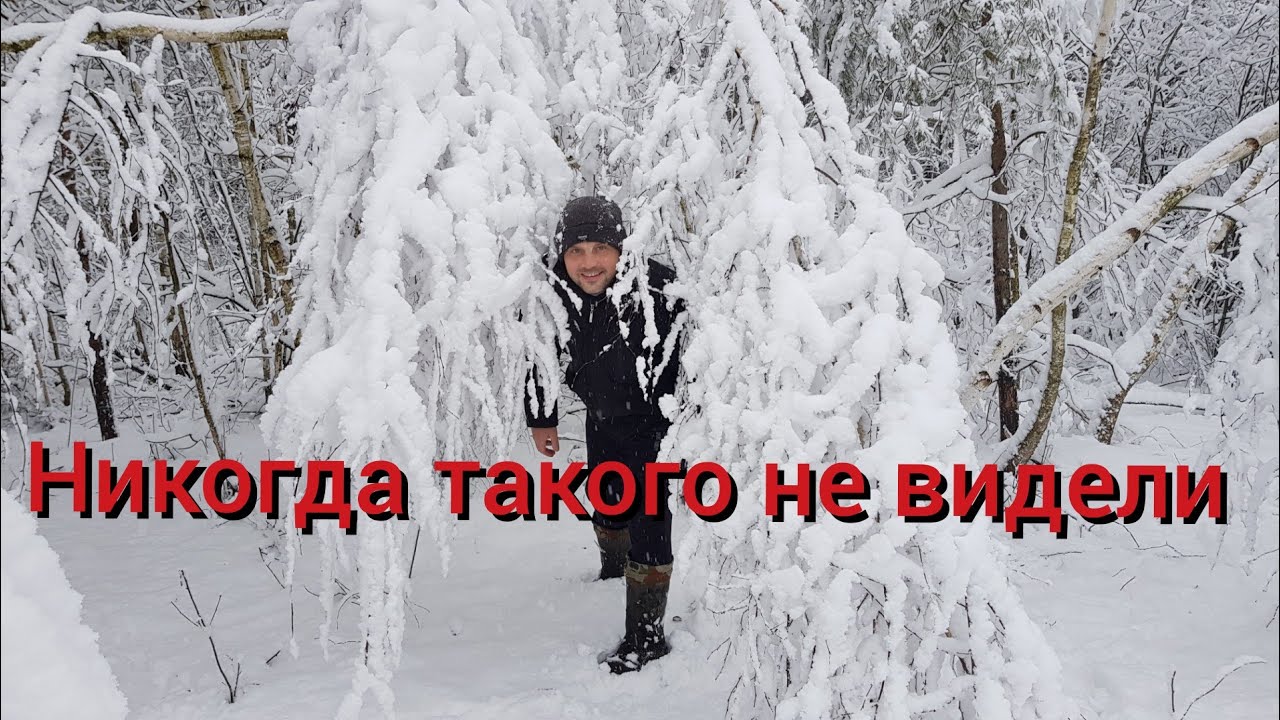 Отрезанные от мира на хуторе в лесу. Про канал яндекс. дзен. Карп в печи по новому рецепту