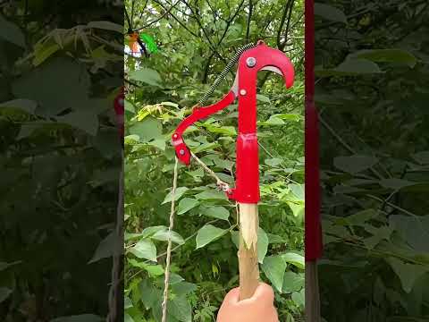 ✂️ Kéo Cắt Cành Trên Cao MD-6 – Dụng Cụ Cắt Cành Cực Gọn Cho Nhà Vườn Hiện Đại!