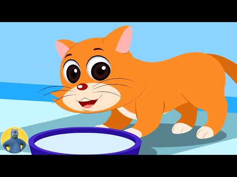 Billi Karti Meow Meow Song, म्याऊं म्याऊं बिल्ली करती, Chuhiya Rani + More Hindi Rhymes For Kids