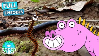 Speedy Centipedes! 💨🐛 Earth Cubs 🌍 NEW Full Episode | Educational Videos for Kids
