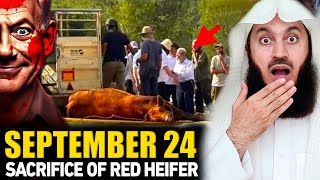 🐂 September 24 Ceremony of RED HEIFER! Hidden Truth Revealed | Mufti Menk 2025