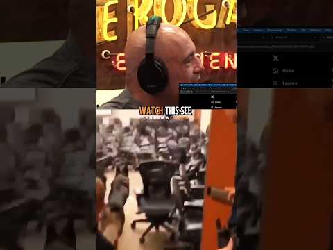 Joe Rogan on Malinois vs Shepherd