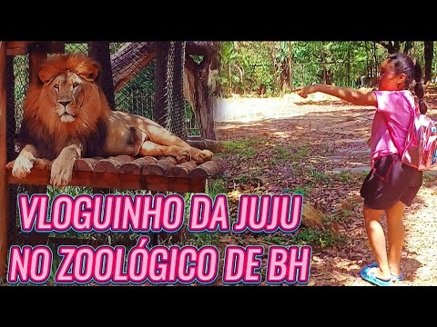 Vloguinho da Juju no zoológico de BH