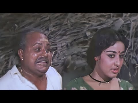 ഇത് ഞാനും ചെല്ലമ്മയും മാത്രം അറിഞ്ഞാൽ മതി..| Kallichellamma Movie Scene | Sheela Prem Nazir