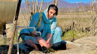 Cooking Lamb and Chicken Kebab in The Spring Iranian Village! Unique Kebab Techniques